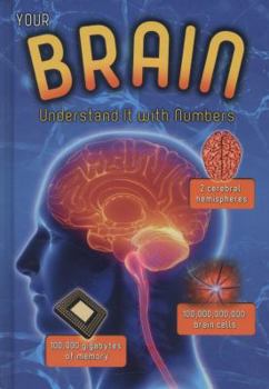 Your Brain: Understand It with Numbers