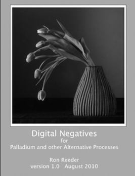 Paperback Digital Negatives for palladium and other alternative processes Book