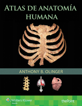 Paperback Atlas de Anatomia Humana [Spanish] Book