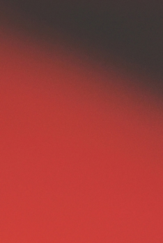 Paperback Red Journal Poetry Collection 1: A Is For Annie Book