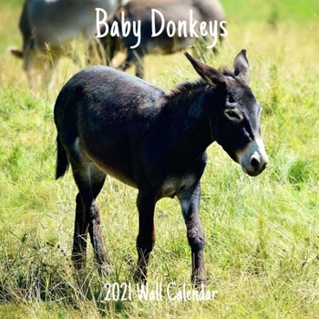 Paperback Baby Donkeys 2021 Wall Calendar: Donkeys 2021 Calendar, 18 Months. Book
