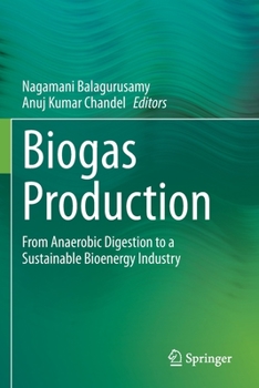 Paperback Biogas Production: From Anaerobic Digestion to a Sustainable Bioenergy Industry Book
