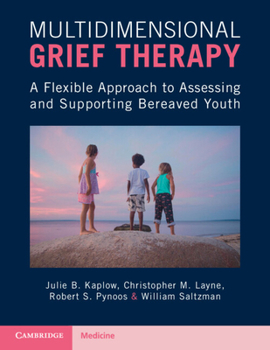 Paperback Multidimensional Grief Therapy: A Flexible Approach to Assessing and Supporting Bereaved Youth Book