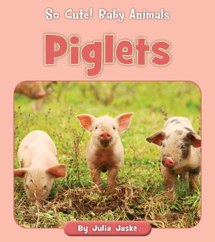 Paperback Piglets Book