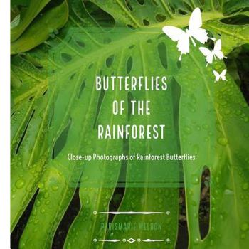 Paperback Butterflies of the Rainforest Book