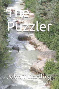 Paperback The Puzzler Book