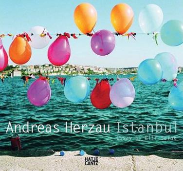 Hardcover Andreas Herzau: Istanbul Book
