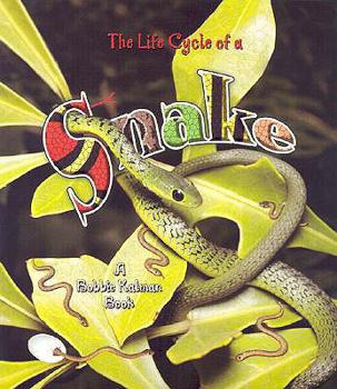 School & Library Binding The Life Cycle of a Snake Book
