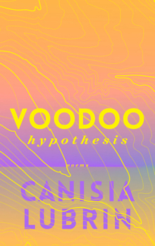 Paperback Voodoo Hypothesis Book