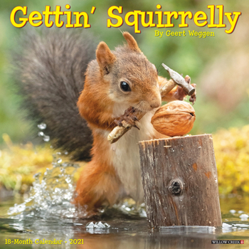Calendar Gettin' Squirrelly 2021 Wall Calendar Book