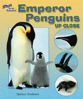Library Binding Emperor Penguins Up Close Book