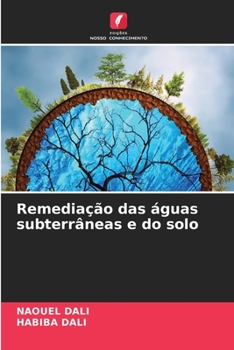 Paperback Remediação das águas subterrâneas e do solo [Portuguese] Book