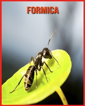 Paperback Formica: Scopri i Formica e goditi le immagini colorate [Italian] Book