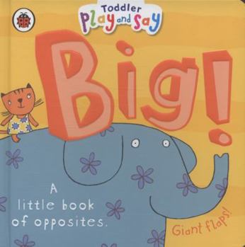 Board book Toddler Play and Say Big! Book