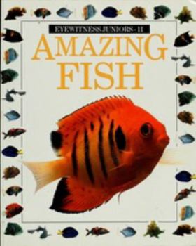 Hardcover Amazing Fish (Eyewitness Juniors) Book