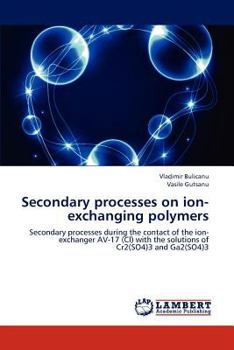 Paperback Secondary Processes on Ion-Exchanging Polymers Book