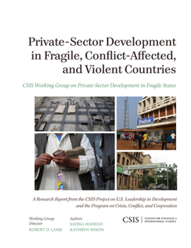 Paperback Private-Sector Development in Fragile, Conflict-Affected, and Violent Countries Book