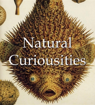 Hardcover Natural Curiousities Book