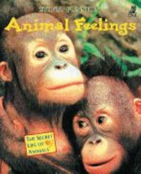 Hardcover Animal Feelings Book