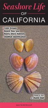 Pamphlet Seashore Life of California Book