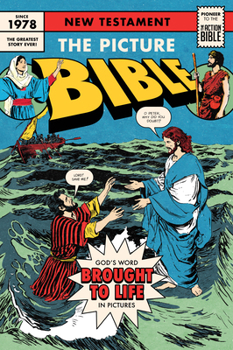 Paperback The Picture Bible New Testament Rpk Book