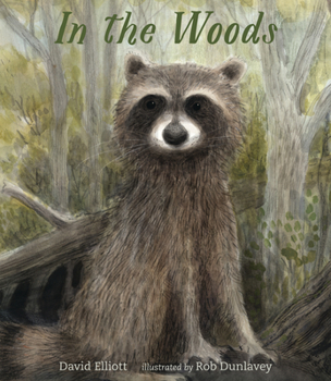 Hardcover In the Woods Book