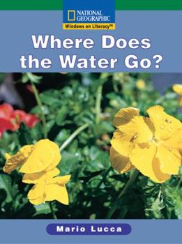 Where Does the Water Go?