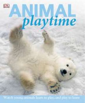 Hardcover Animal Playtime Book