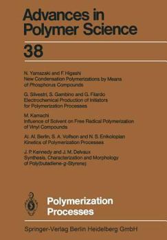 Paperback Polymerization Processes Book