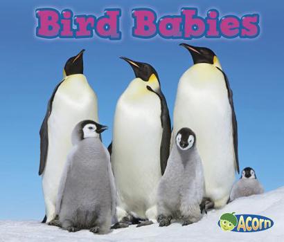 Bird Babies - Book  of the Animal Babies