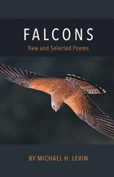 Paperback Falcons Book