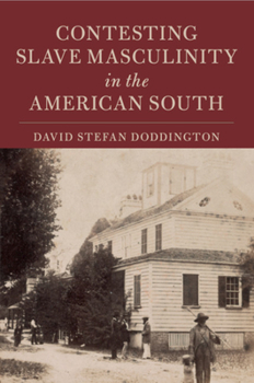 Contesting Slave Masculinity in the American South - Book  of the Cambridge Studies on the American South