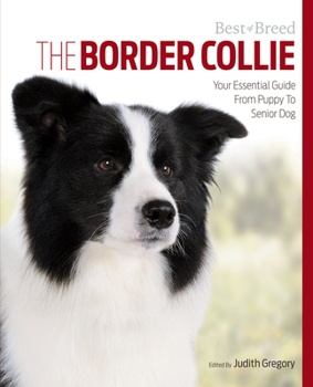 Paperback The Border Collie: Your Essential Guide from Puppy to Senior Dog Book