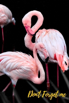 Paperback Don't Forget Me: Pink flamingo.Internet Password Logbook with alphabetical tabs.Personal Address of websites, usernames, passwords note [Large Print] Book