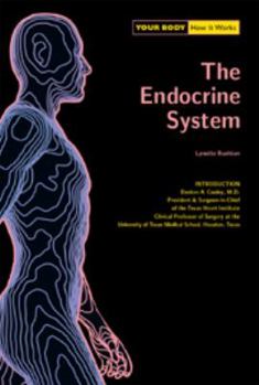 Hardcover Endocrine System (Your Body) Book