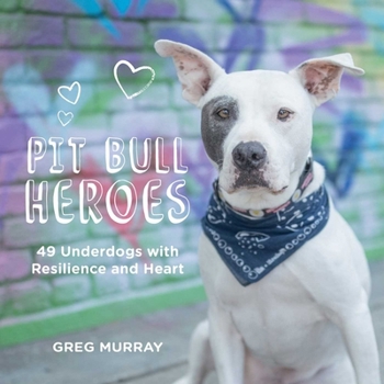 Hardcover Pit Bull Heroes: 49 Underdogs with Resilience and Heart Book