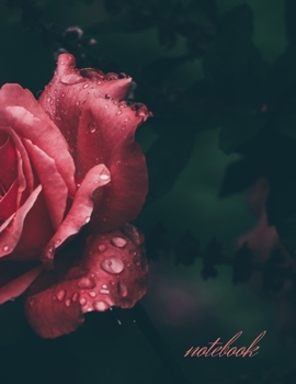 Notebook: Unlined/Plain Notebook - Large (8.5 x 11 inches) - 120 Pages