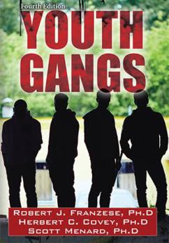 Paperback Youth Gangs Book