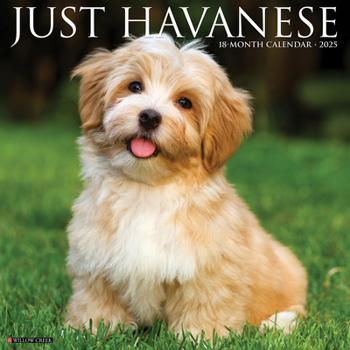 Calendar Just Havanese 2025 12 X 12 Wall Calendar Book