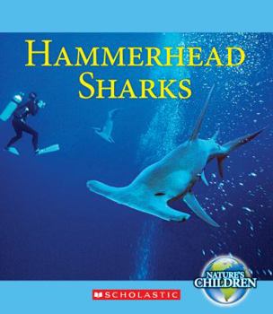 Paperback Hammerhead Sharks Book