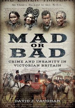 Paperback Mad or Bad: Crime and Insanity in Victorian Britain Book