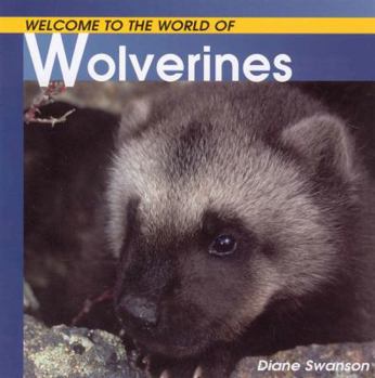 Paperback Welcome to the World of Wolverines Book