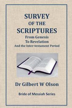 Paperback Survey of the Scriptures Book