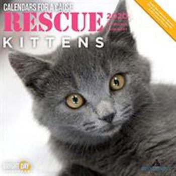 Paperback Rescue Kittens Wall Calendar 2020 Book