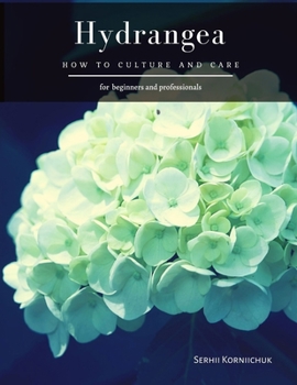 Hydrangea: How to Culture and Care