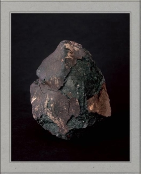 Hardcover Find a Fallen Star Book