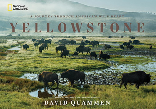 Hardcover Yellowstone: A Journey Through America's Wild Heart Book