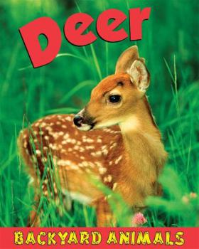 Deer with Code - Book  of the Backyard Animals