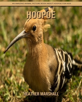 Paperback Hoopoe: An Amazing Animal Picture Book about Hoopoe for Kids Book