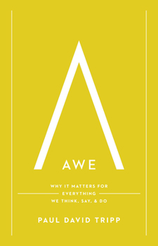 Hardcover Awe: Why It Matters for Everything We Think, Say, and Do Book